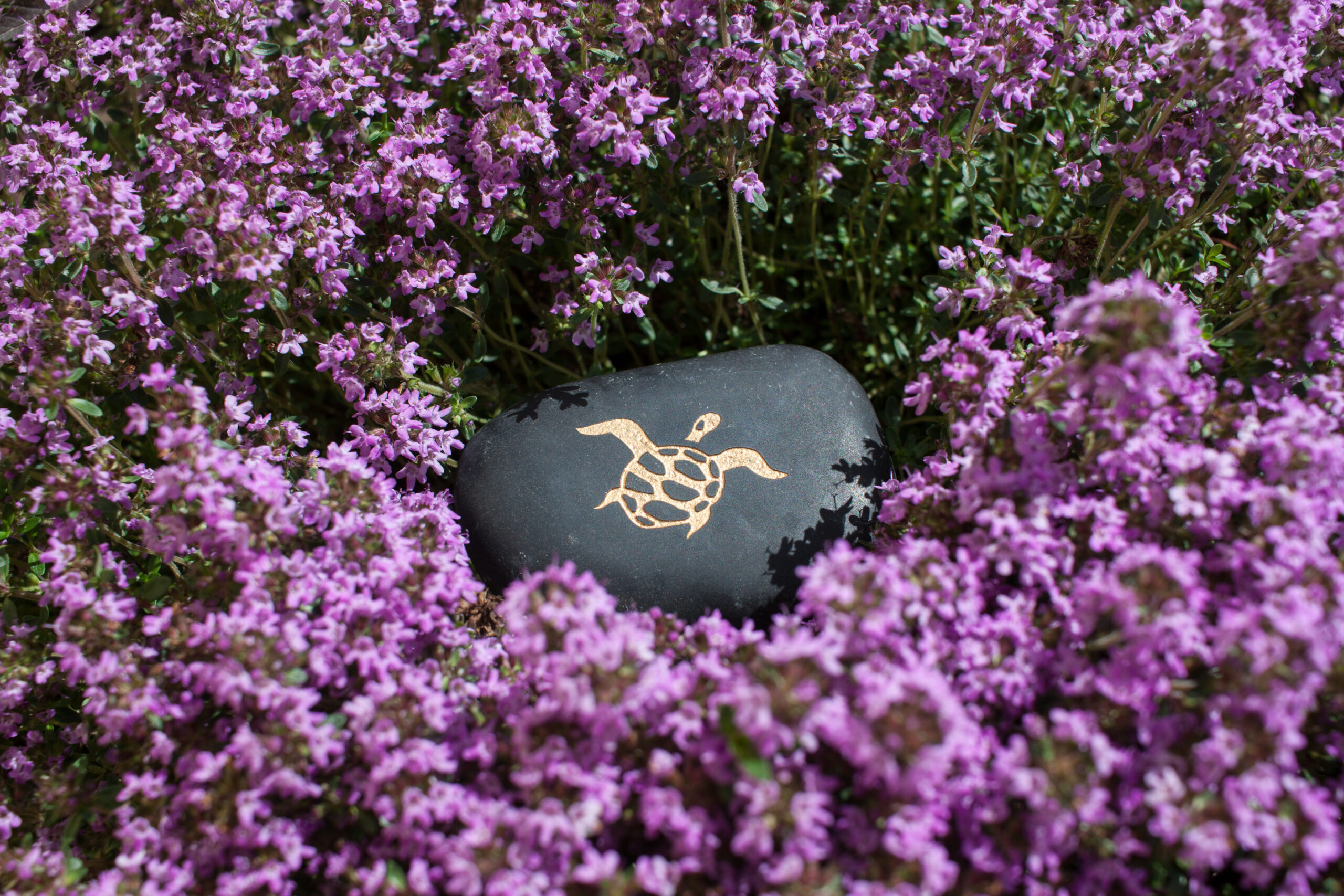 Schildkröte Blumen Liebe-Karma-Reichtum